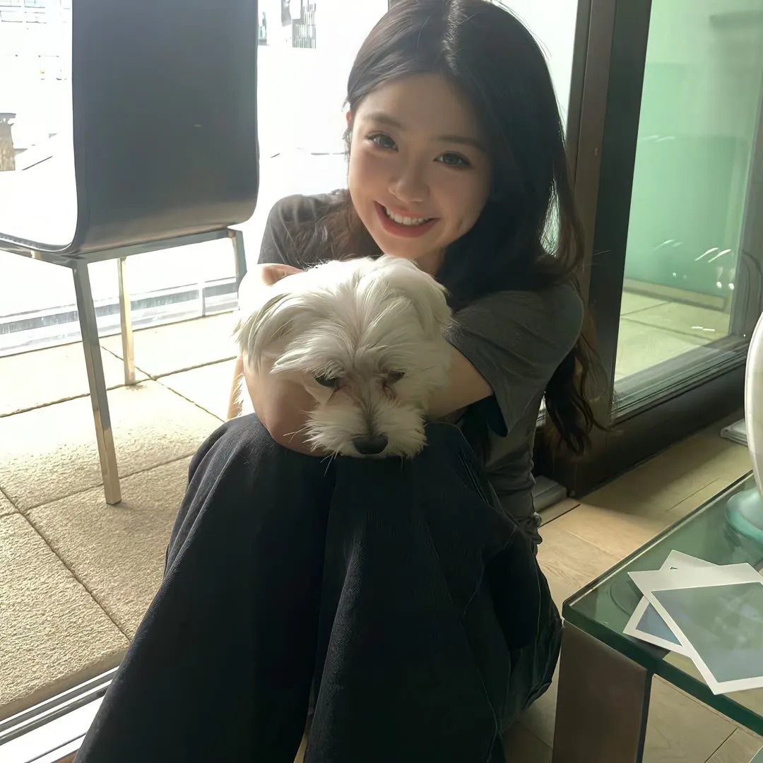 数码神犬